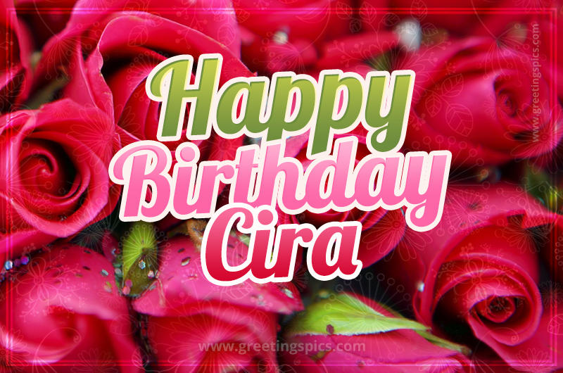 Happy Birthday Cira beautiful Image with red roses