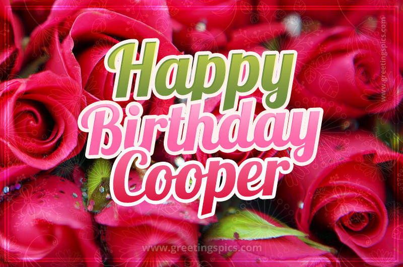 Happy Birthday Cooper beautiful Image with red roses