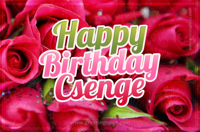 Happy Birthday Csenge beautiful Image with red roses