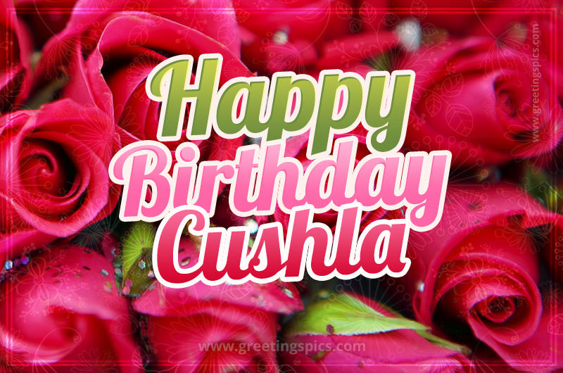 Happy Birthday Cushla beautiful Image with red roses