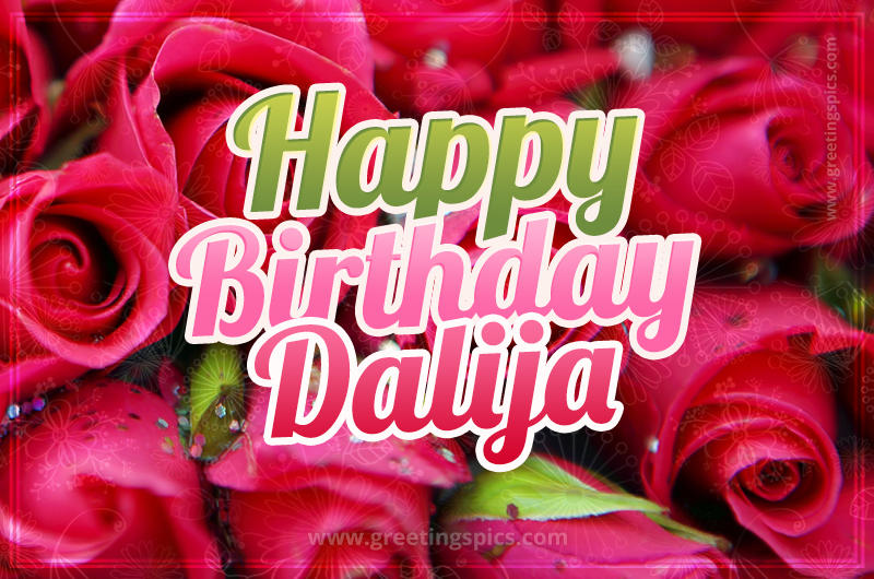 Happy Birthday Dalija beautiful Image with red roses