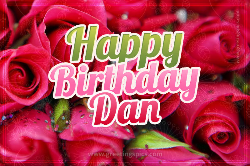 Happy Birthday Dan beautiful Image with red roses