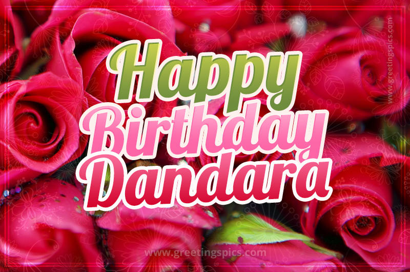 Happy Birthday Dandara beautiful Image with red roses