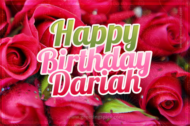 Happy Birthday Dariah beautiful Image with red roses