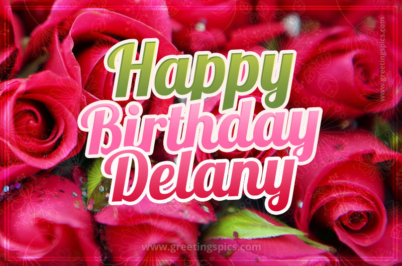 Happy Birthday Delany beautiful Image with red roses