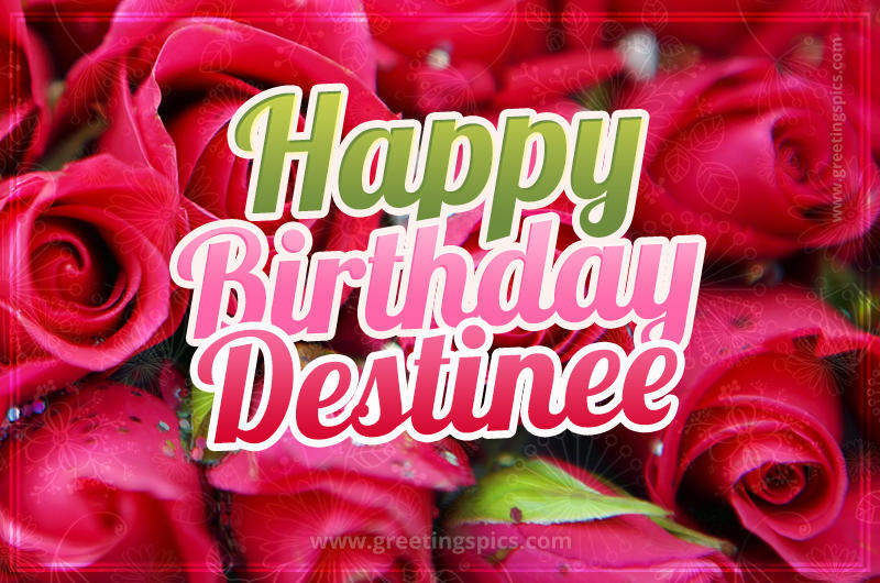 Happy Birthday Destinee beautiful Image with red roses