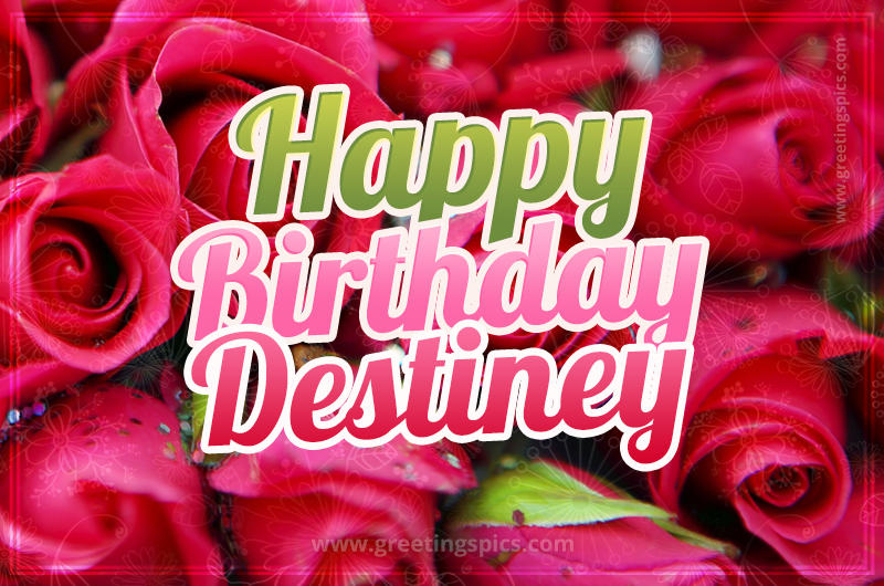 Happy Birthday Destiney beautiful Image with red roses