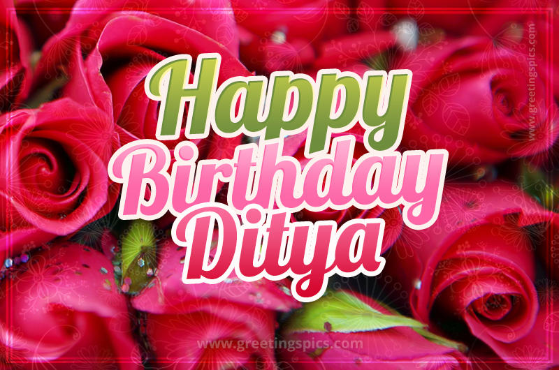 Happy Birthday Ditya beautiful Image with red roses