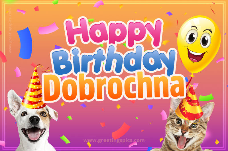 Happy Birthday Dobrochna Funny Image with cat and dog