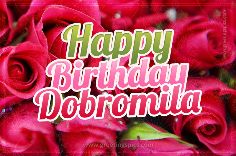 Happy Birthday Dobromila beautiful Image with red roses