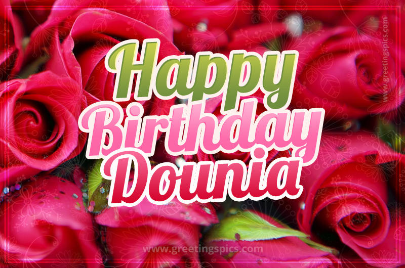 Happy Birthday Dounia beautiful Image with red roses