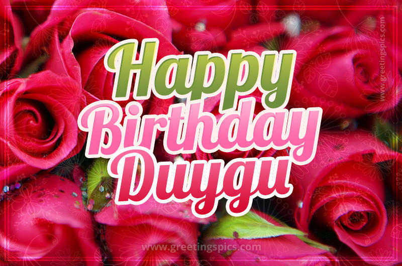 Happy Birthday Duygu beautiful Image with red roses