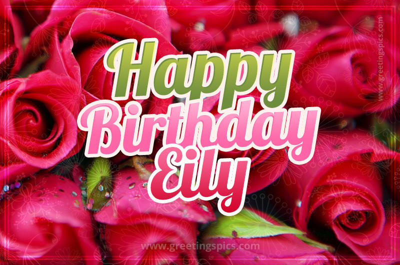 Happy Birthday Eily beautiful Image with red roses