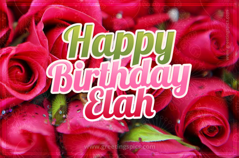 Happy Birthday Elah beautiful Image with red roses