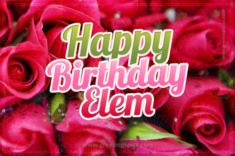 Happy Birthday Elem beautiful Image with red roses