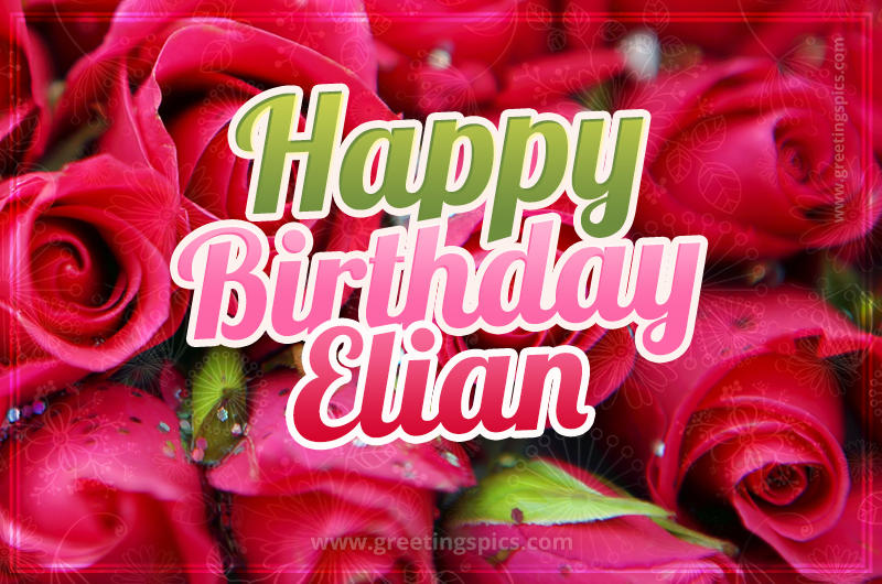 Happy Birthday Elian beautiful Image with red roses