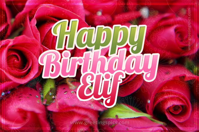 Happy Birthday Elif beautiful Image with red roses