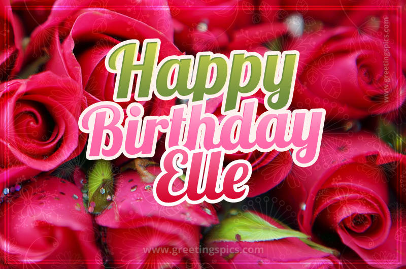 Happy Birthday Elle beautiful Image with red roses