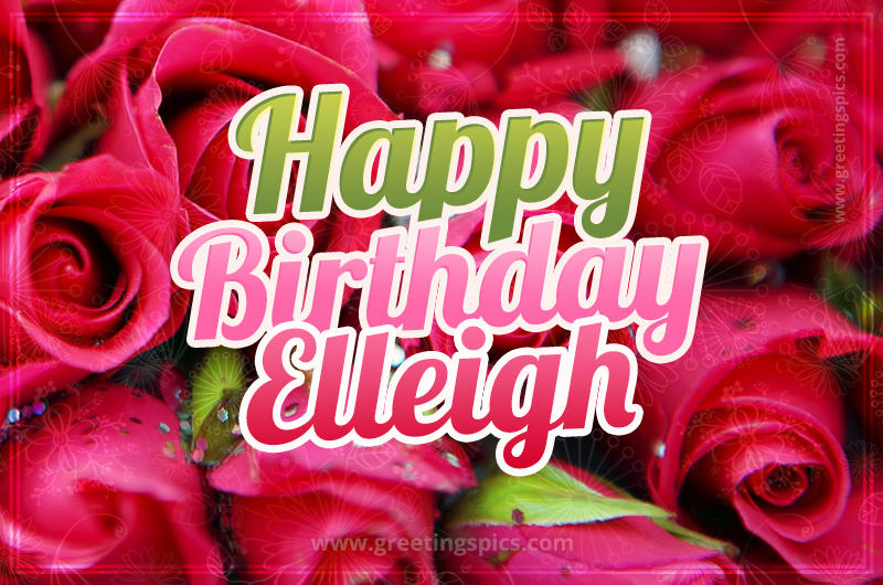 Happy Birthday Elleigh beautiful Image with red roses