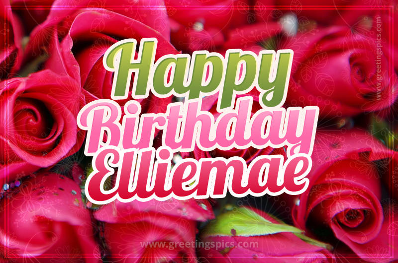 Happy Birthday Elliemae beautiful Image with red roses