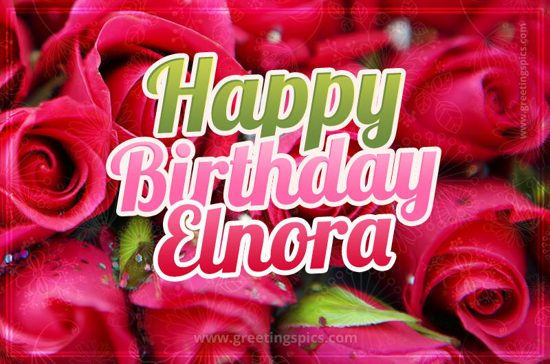 Happy Birthday Elnora beautiful Image with red roses