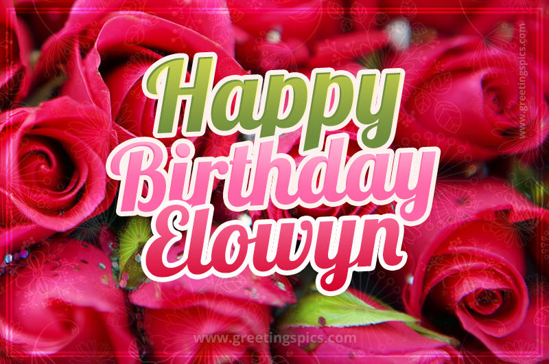 Happy Birthday Elowyn beautiful Image with red roses