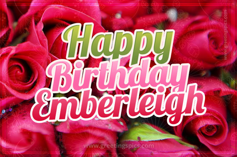 Happy Birthday Emberleigh beautiful Image with red roses