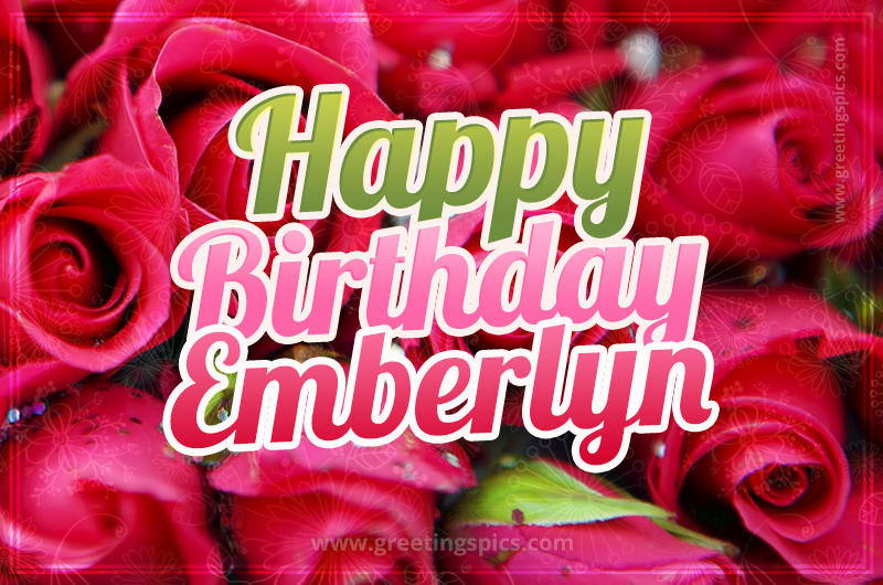 Happy Birthday Emberlyn beautiful Image with red roses