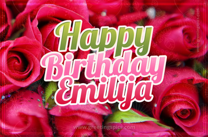 Happy Birthday Emilija beautiful Image with red roses