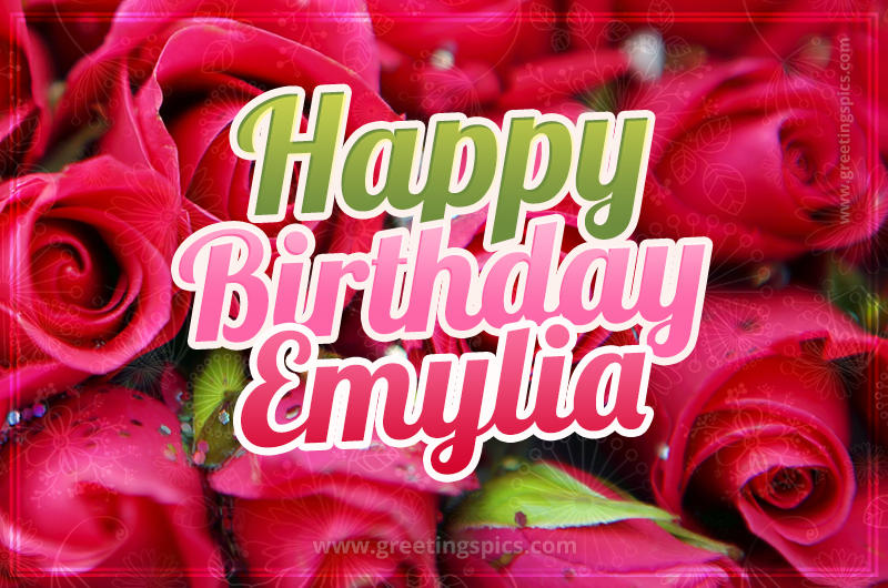 Happy Birthday Emylia beautiful Image with red roses