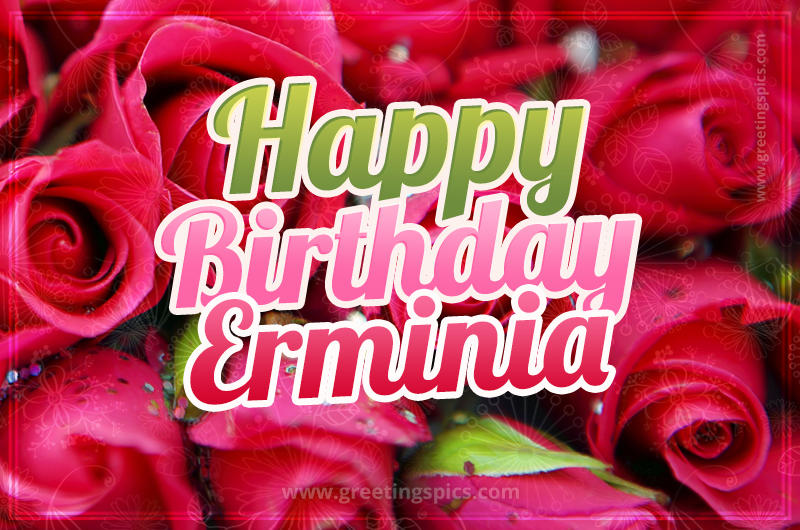 Happy Birthday Erminia beautiful Image with red roses