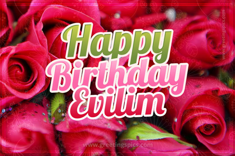 Happy Birthday Evilim beautiful Image with red roses