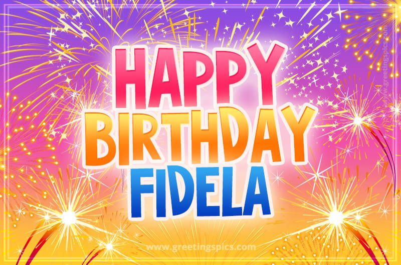 Happy Birthday Fidela Picture with fireworks