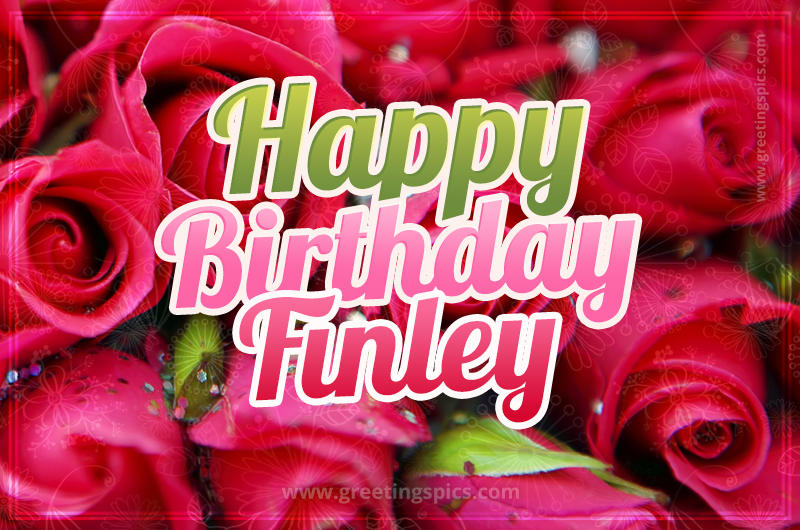 Happy Birthday Finley beautiful Image with red roses