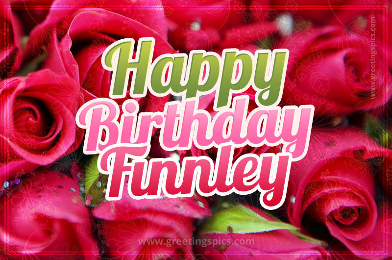 Happy Birthday Finnley beautiful Image with red roses