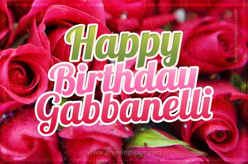 Happy Birthday Gabbanelli beautiful Image with red roses