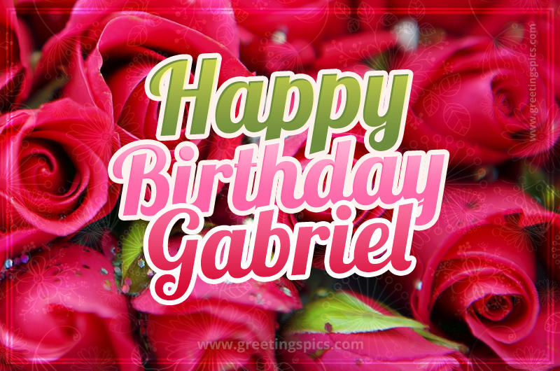 Happy Birthday Gabriel beautiful Image with red roses