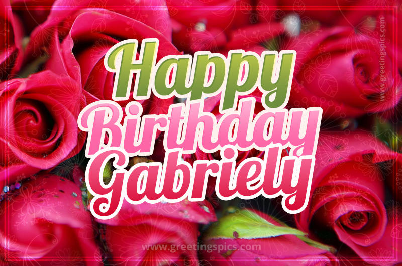 Happy Birthday Gabriely beautiful Image with red roses