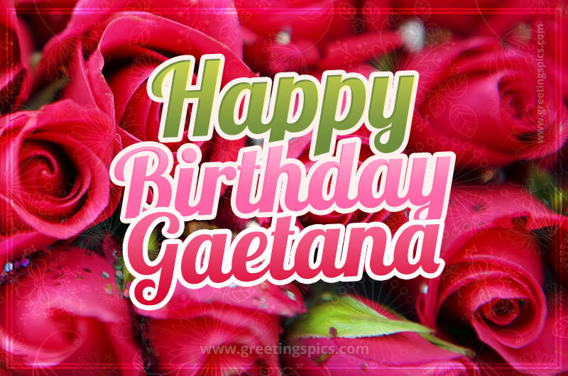 Happy Birthday Gaetana beautiful Image with red roses