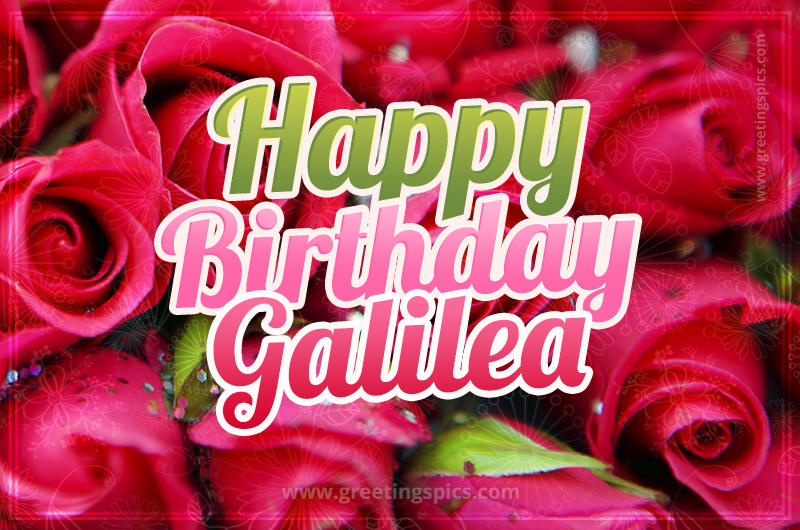 Happy Birthday Galilea beautiful Image with red roses