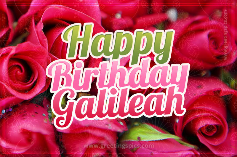 Happy Birthday Galileah beautiful Image with red roses