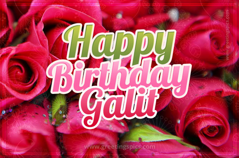 Happy Birthday Galit beautiful Image with red roses