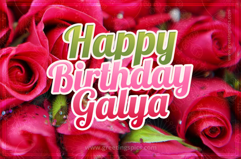 Happy Birthday Galya beautiful Image with red roses