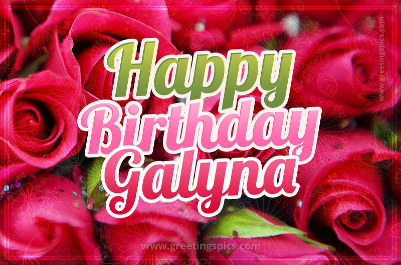 Happy Birthday Galyna beautiful Image with red roses