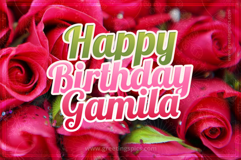 Happy Birthday Gamila beautiful Image with red roses