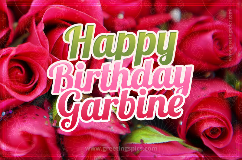 Happy Birthday Garbine beautiful Image with red roses