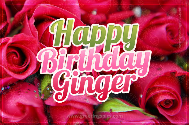 Happy Birthday Ginger beautiful Image with red roses