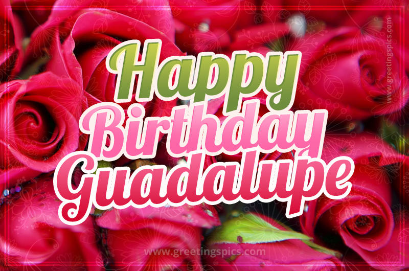 Happy Birthday Guadalupe beautiful Image with red roses