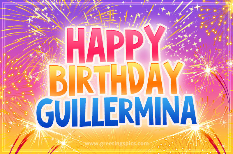 Happy Birthday Guillermina Picture with fireworks