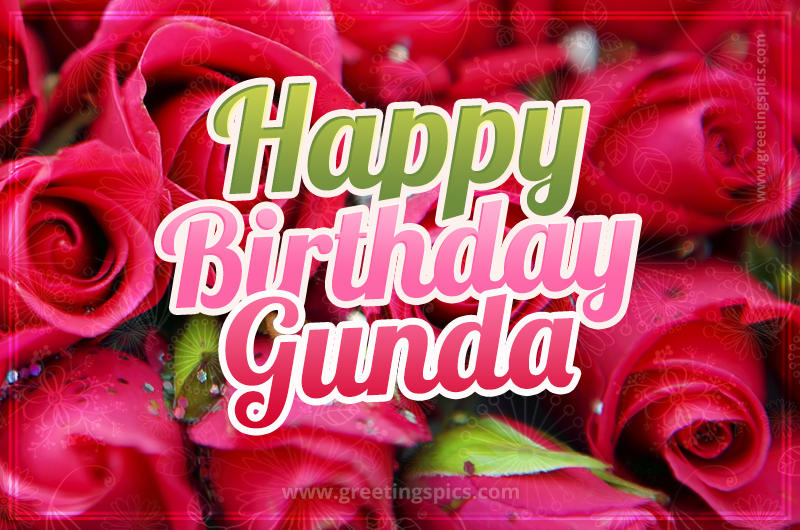 Happy Birthday Gunda beautiful Image with red roses